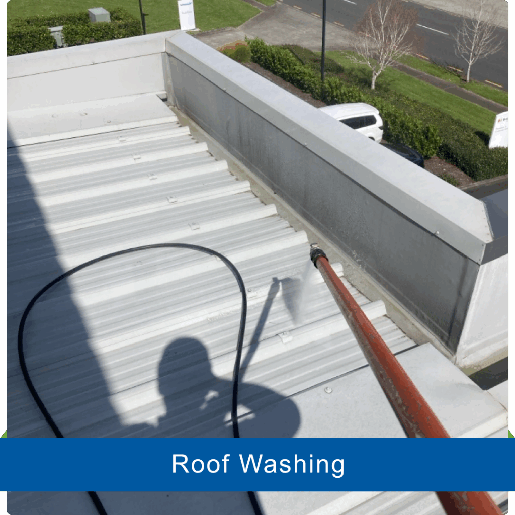 The Building Wash Company - Roof Wash Services
